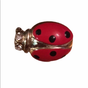 Small Ladybug 🐞 lady bug brooch