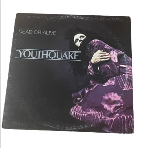 Dead Or Alive Youthquake Vintage record Album LP Vinyl