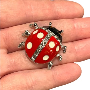 Beautiful Vintage large Lady bug brooch enamel