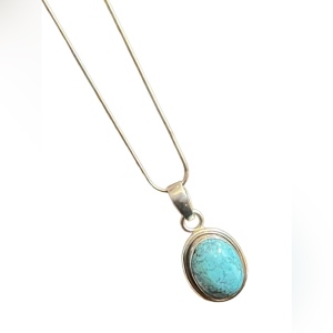 Sterling silver 925 Turquoise Native Southwestern Pendant necklace rope chain