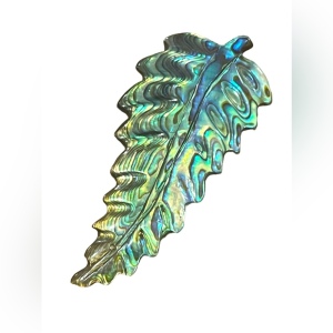 Antique Sterling silver C clip Abalone Large fancy feather brooch