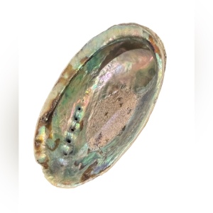 Lovely vintage abalone Shell collectible new age smudging