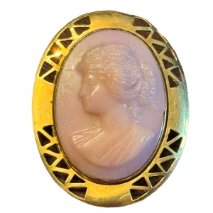 Vintage gold front frame Resin ornate cameo brooch